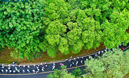 凝心同行，聚力共赢丨乐天使2024年松山湖环湖徒步行记