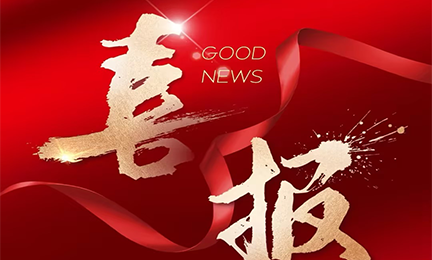 喜报丨乐天使入选2024粤港澳大湾区企业创新力榜单